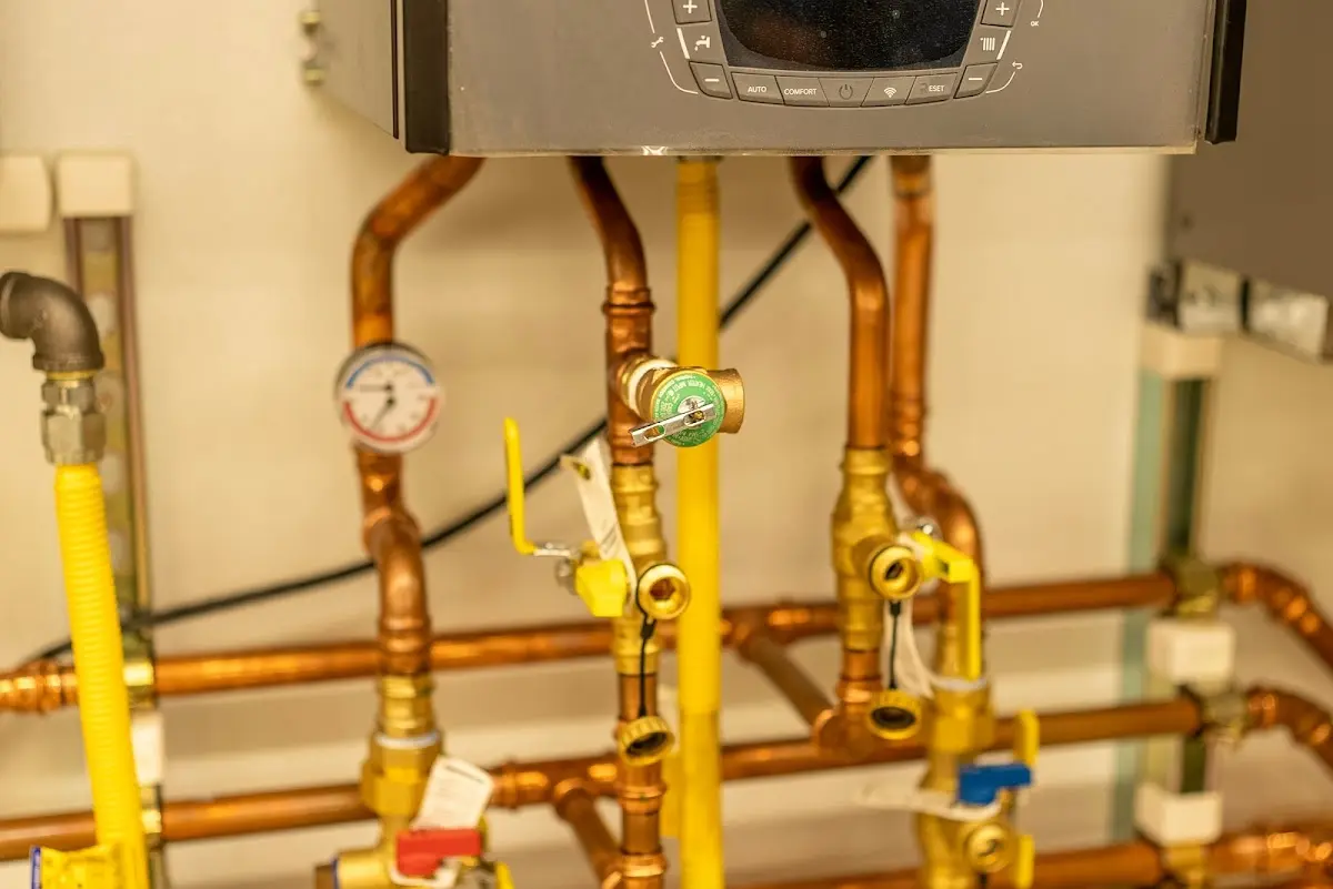 Licensed technician providing Emergency Plumbing for a homeowner in Mount Rainier